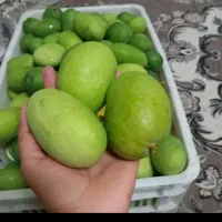 انبه