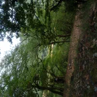 سواری سبزوار گرگان