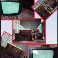 تلویزیون