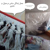 سمپاشی سوسک کک ساس طعمه موش با ۱۲ سال سابقه