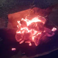 ذغال مورت
