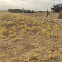 یه قطعه زمین کشاورزی