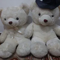 دو عدد عروسک پولیشی