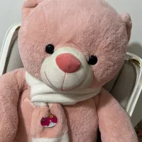 خرس بزرگ|اسباببازی بچه|کرج, شاهینویلا|دیوار