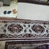 کناره ۶ متری