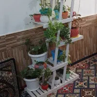 استند گلدان