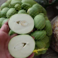 انبه کال سپستان ادویه آچارهندی مخصوص ترشی