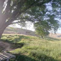 پیاده‌روی