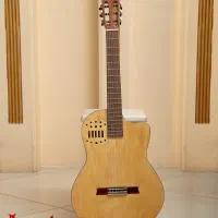 گیتار طرح گودین