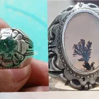 انگشتر مزونایت و شجر رکاب زنجان
