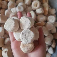 کشک|خوردنی و آشامیدنی|دهدشت, |دیوار