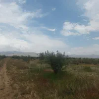 باغ مینو دشت سلطانیه