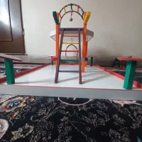 بازی برای پرندگان