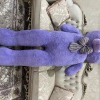 خرس دو متری