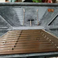 سنتور جنگلی درختهای شمال