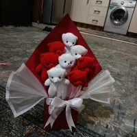 عروسک بوکت و عروسک های انجل