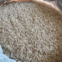 برنج هاشمی درجه یک