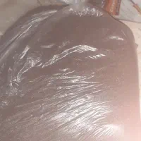 بذر گل|گل و گیاه طبیعی|دوگنبدان, |دیوار