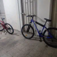 دوچرخه فونیکس
