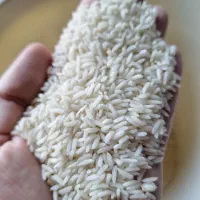 برنج هاشمی و فجر درجه یک * محصول خودمون