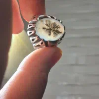 شوشتر
