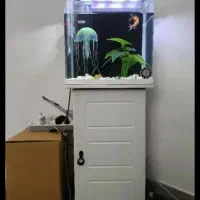 اکواریوم
