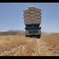 خریدار کاه گندم وجو به قیمت عمده