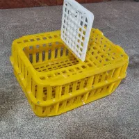 قفس