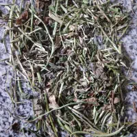 شبدر درجه یک بدونه گیاه . سه چین هست کاملا پر برگ