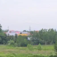 زمین شالیزار/۱تن برنج/۶۰۰۰متر/شکارسنددار