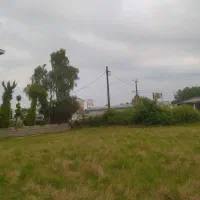 فروش زمین به متراژ ۴۵۰۰ متر در منطقه آزاد انزلی