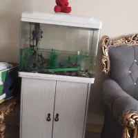 اکواریوم شیشه خم