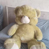 خرس سبز