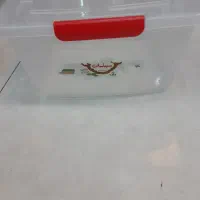 جا نونی