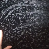 پارچه مخمل  مشکی