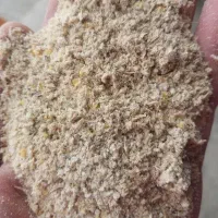 خوراک کنسانتره شیری