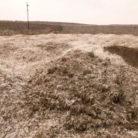 کود مرغ با اقساط|خدمات باغبانی و درختکاری|شیراز, زرهی|دیوار