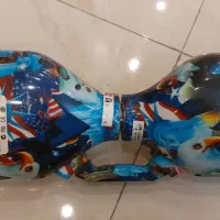 اسکوتر برقی و شارژی هوشمند