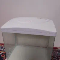 اکواریوم