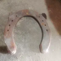 نعل کهنه اسب