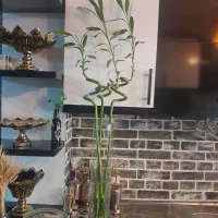 گل بامبو۳عدد