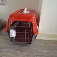 باکس سگ  وگربه