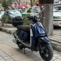 وسپا دلتا در حد خشک