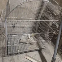 قفس پرنده