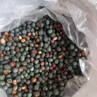 بنه