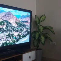 معاوضه تلوزیون با موتور