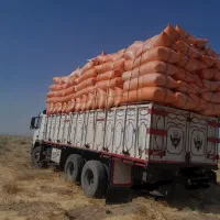 کاه نرم دیم تحویلی یا سر خرمن