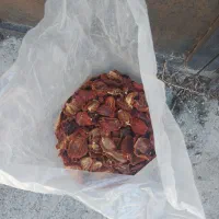 گوجه خشک شده اسلایس شده