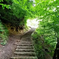 تور شمال 4روزه