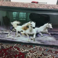 تابلو نو نو